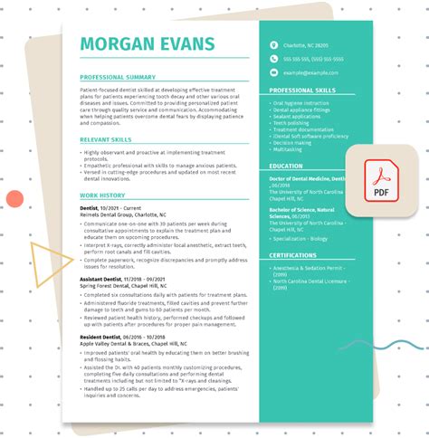 PDF Resume Templates & Examples: Free Download