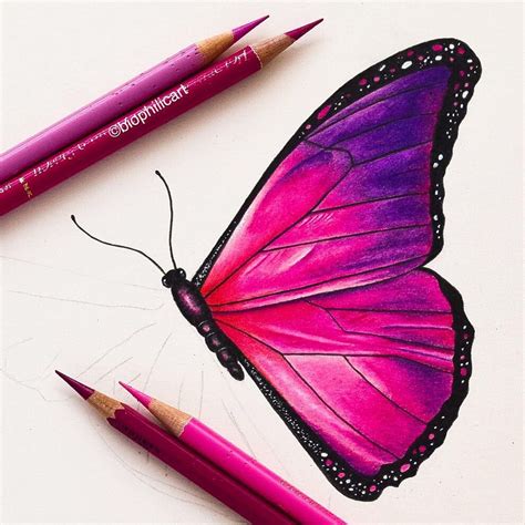 Pink Butterfly This Is My Pink Version Of A Blue Morpho Just