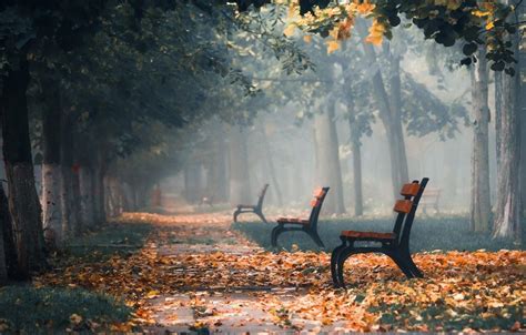 Autumn Fog Wallpapers - Top Free Autumn Fog Backgrounds - WallpaperAccess