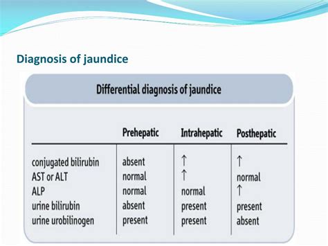 PPT - Jaundice PowerPoint Presentation, free download - ID:1867558