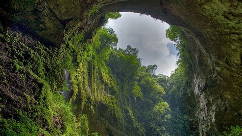 HD wallpaper: cave, landscape, nature, trees, plant, beauty in nature ...