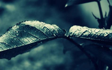 Dark Rain Wallpapers - Top Free Dark Rain Backgrounds - WallpaperAccess