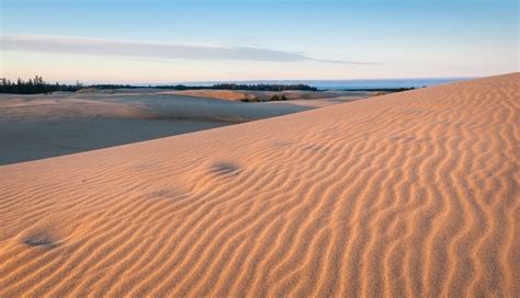 A Local’s Guide to the Oregon Dunes - Travel Oregon