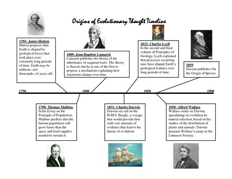 Theory Of Evolution: Theory Of Evolution History Timeline