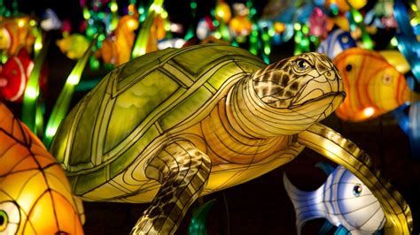 Glowing lanterns brighten the Potomac for Lunar New Year - ABC News