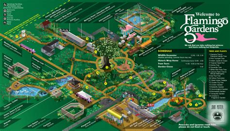 Botanical Gardens Visitor's Illustrated Map on Behance