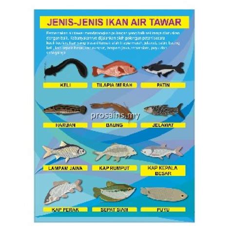 PESPS568 (Prosains) - JENIS JENIS IKAN AIR TAWAR