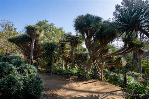 San Diego Botanic Garden in Encinitas - California Through My Lens