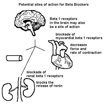 Doctors Gates: Beta-blockers: side effects