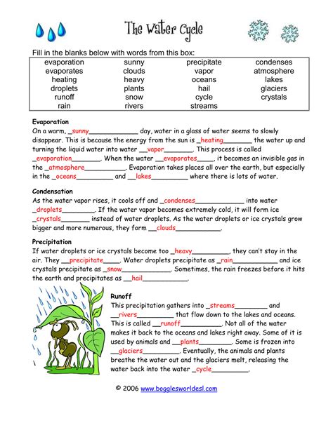 The Water Cycle Worksheet Answers – Englishworksheet.my.id