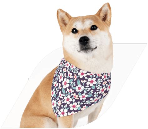 Create Personalized Custom Dog Bandanas – No Money Upfront