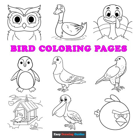 Coloring Pages Of Tropical Bird