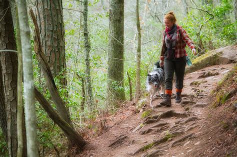 Hiking in Blue Ridge Ga: Our Top 7 Trail Options