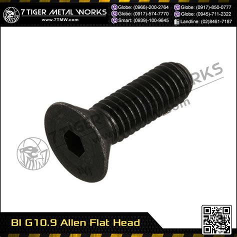 BI G10.9 Allen Flat-Head Socket Screw - Bolt and Nut Supplier Philippines