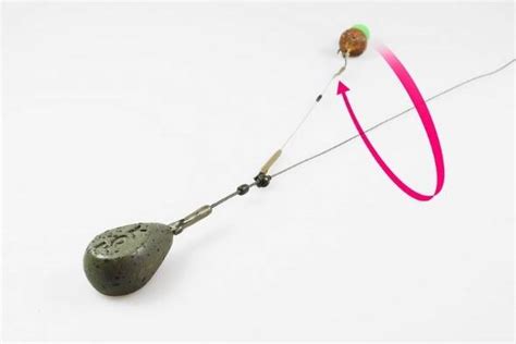 7 Best Carp Rigs For Beginners - (2021 Guide with Pictures)