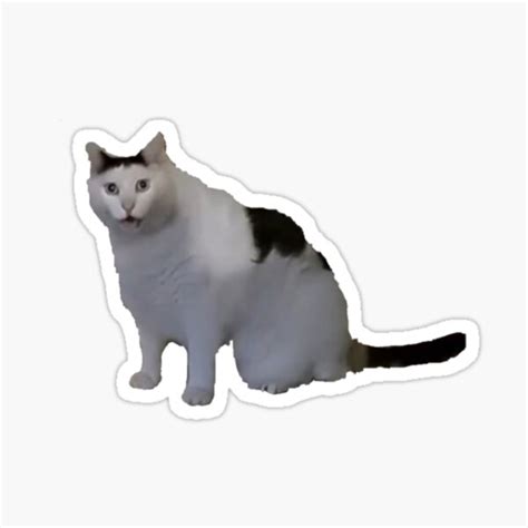 "huh cat" Sticker for Sale by tadeski | Redbubble