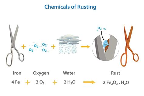 The chemical required for rust formation vector illustration 20240732 ...