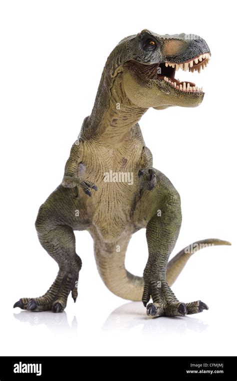 Tyrannosaurus Rex dinosaur Stock Photo - Alamy