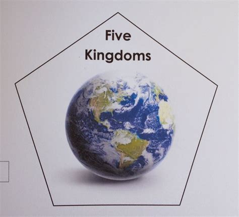 Elementary Observations: Five Kingdoms