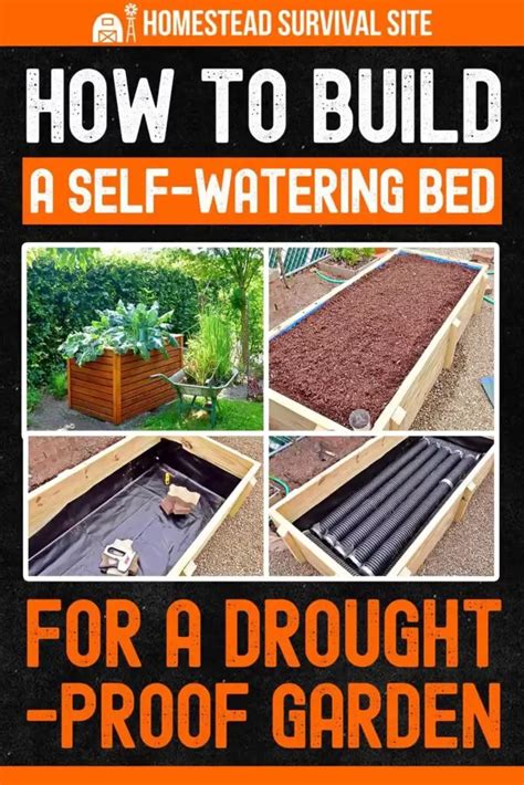 How to Build a Self-Watering "Wicking Bed" for a Drought-Proof Garden ...