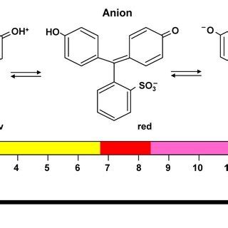 Monitoring pH changes in cell culture by phenol red. Phenol red ...