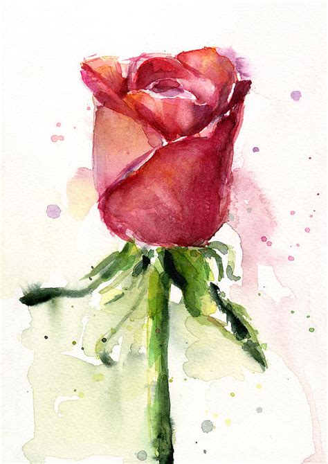 Rose Flower Watercolor Painting | ubicaciondepersonas.cdmx.gob.mx