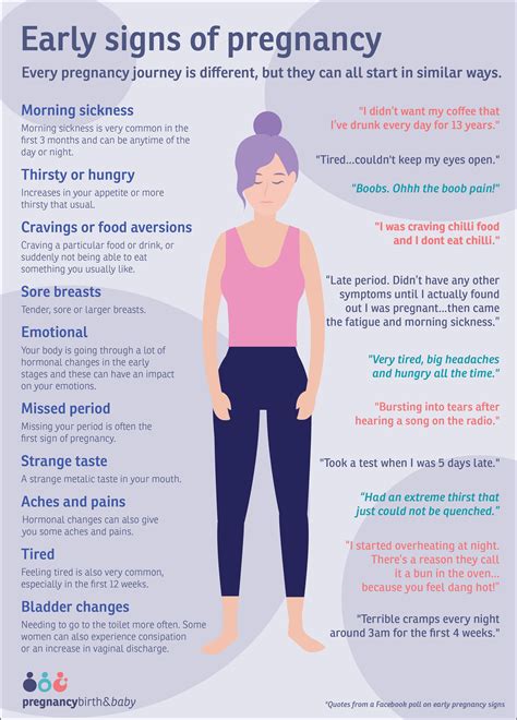 Early Pregnancy Symptoms Timeline