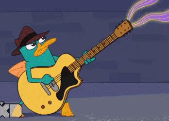 Guitar GIF - Guitar - Discover & Share GIFs