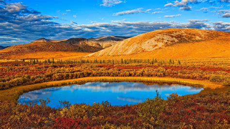 Autumn Yukon – Bing Wallpaper Download