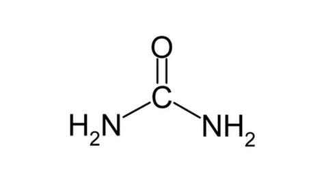 Physical Properties of Urea | Sciencing