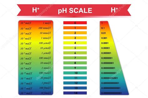 PH scale chart vector illustration — Stock Vector © exty #77317112