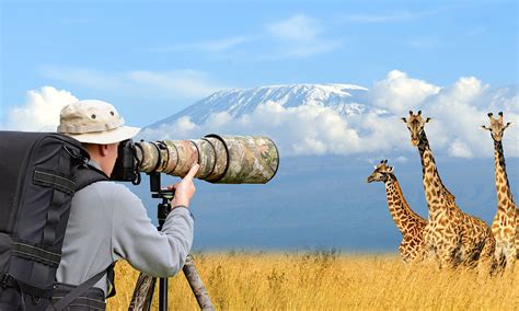 Best African Safari Photography Experiences | Our Top 10 Picks