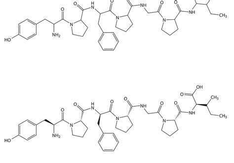 Milk Casein Proteins: Ancient, Diverse, and Essential