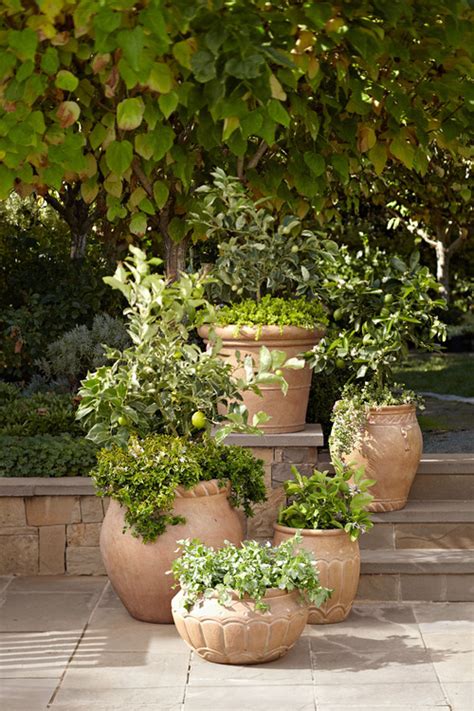 Terra Cotta Pots Pictures, Photos, and Images for Facebook, Tumblr ...