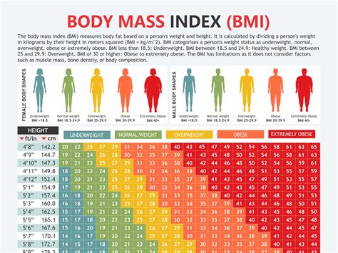 BMI Chart PDF Templates Jotform, 60% OFF