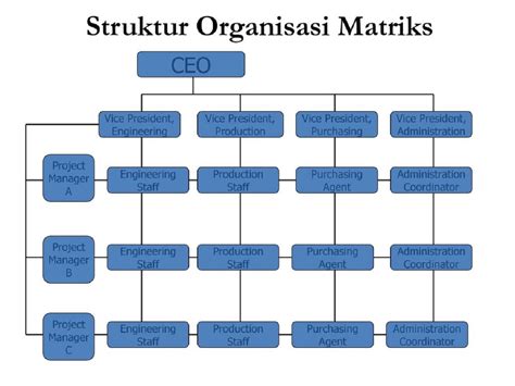 Contoh Struktur Organisasi Matriks Dan Penjelasannya Berbagai Struktur ...