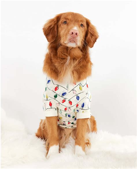 The 12 Best Christmas Sweaters for Dogs and Humans – Dogster