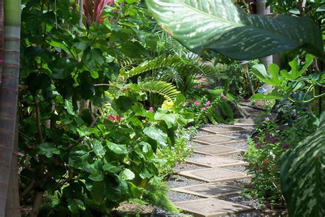 Garden Living Studio: Garden Ideas: Decorative Stepping Stones Bring a ...