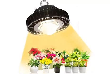 15 Best Grow Lights To Support Indoor Plant Development In 2022