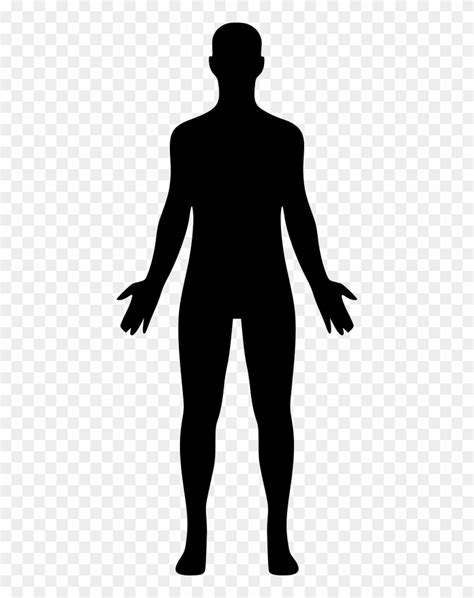 Png File Svg - Human Body Silhouette Png, Transparent Png - 428x980 ...