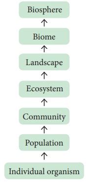 Ecology - Definitions, Branches, Ecological hierarchy