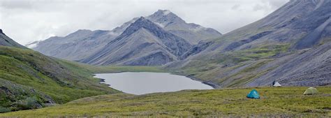 Arctic National Wildlife Refuge | Arctic Wild