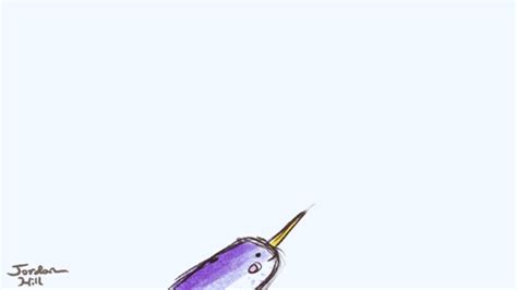 narwhal | Tag | PrimoGIF