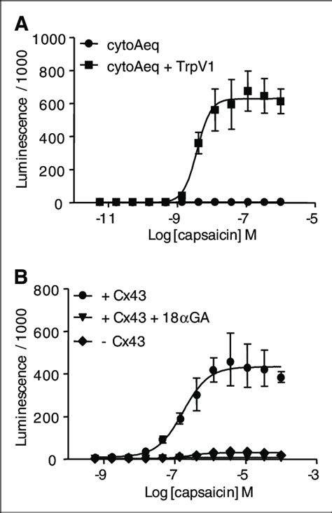 (A) Aequorin calcium response curve to increasing amounts of capsaicin ...