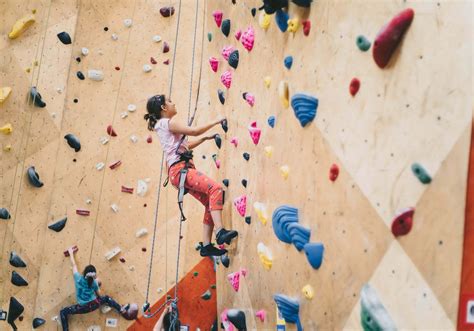 5+ Awesome Benefits of Having an Indoor Climbing Wall for Your Kids ...