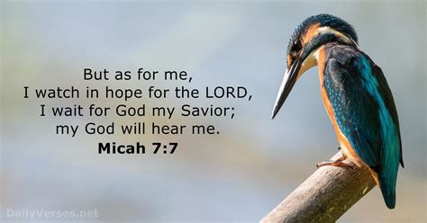 Micah 7:7 - Bible verse - DailyVerses.net