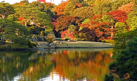 8 Autumn Scenery You Can Find in Tokyo | tsunagu Japan