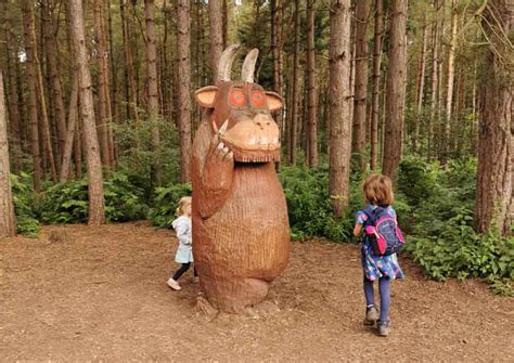 Everything you need to know about Delamere forest walks