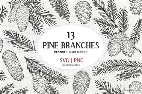 Pine Tree Branch Drawing