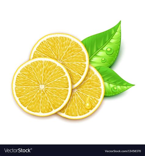 Lemon slice Royalty Free Vector Image - VectorStock